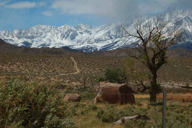 Sierras at Pleasant Valley